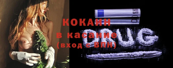 ГАЛЛЮЦИНОГЕННЫЕ ГРИБЫ Балахна