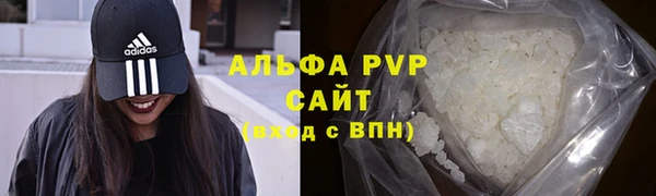 спиды Белокуриха