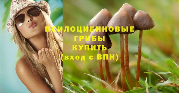 ГАЛЛЮЦИНОГЕННЫЕ ГРИБЫ Балахна