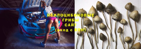 спиды Белокуриха