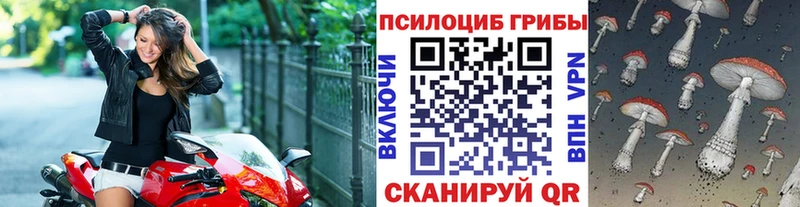 купить закладку  Хвалынск  Псилоцибиновые грибы MAGIC MUSHROOMS 